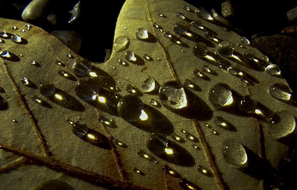 Licht & Schatten..