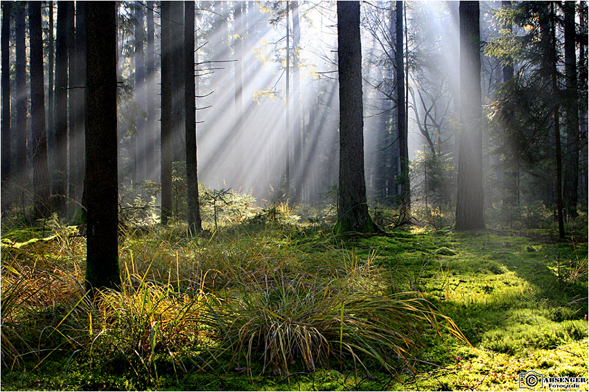 Licht & Schatten