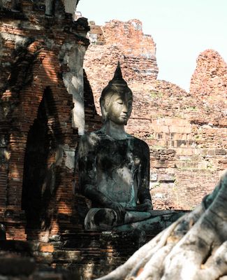 ...Licht & Schatten...