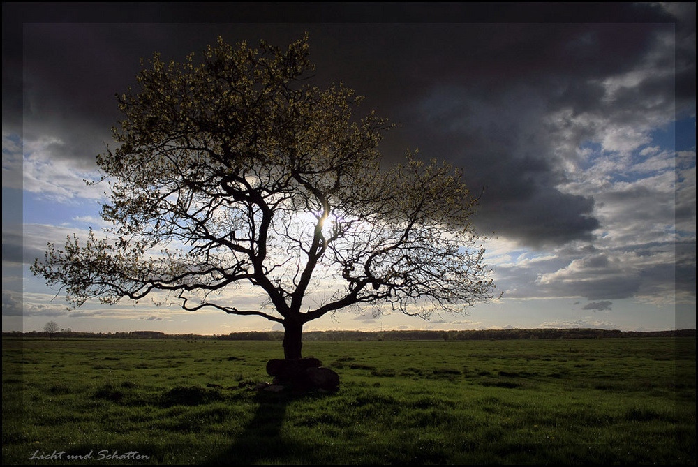 Licht & Schatten