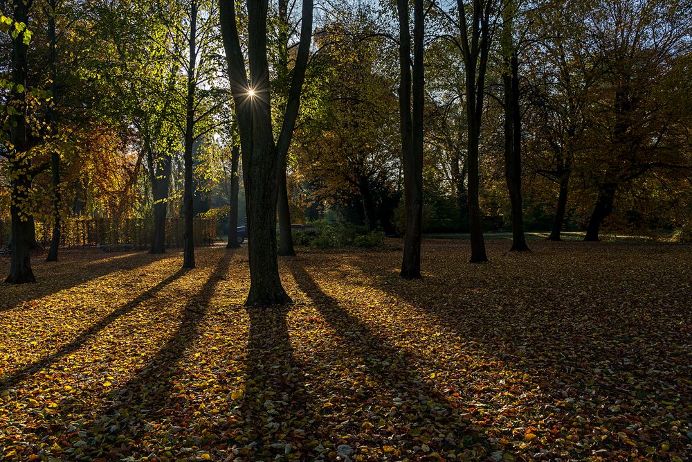 Licht + Schatten beim Morgenspaziergang...