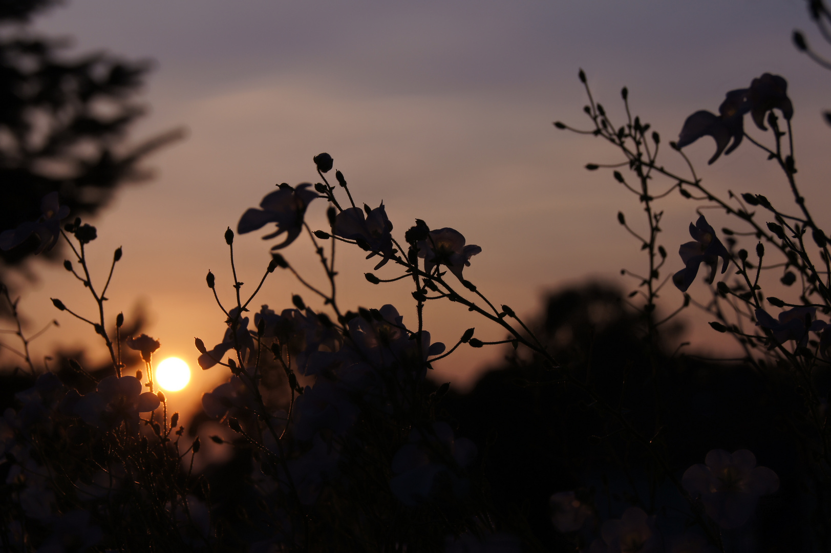 Licht & Schatten