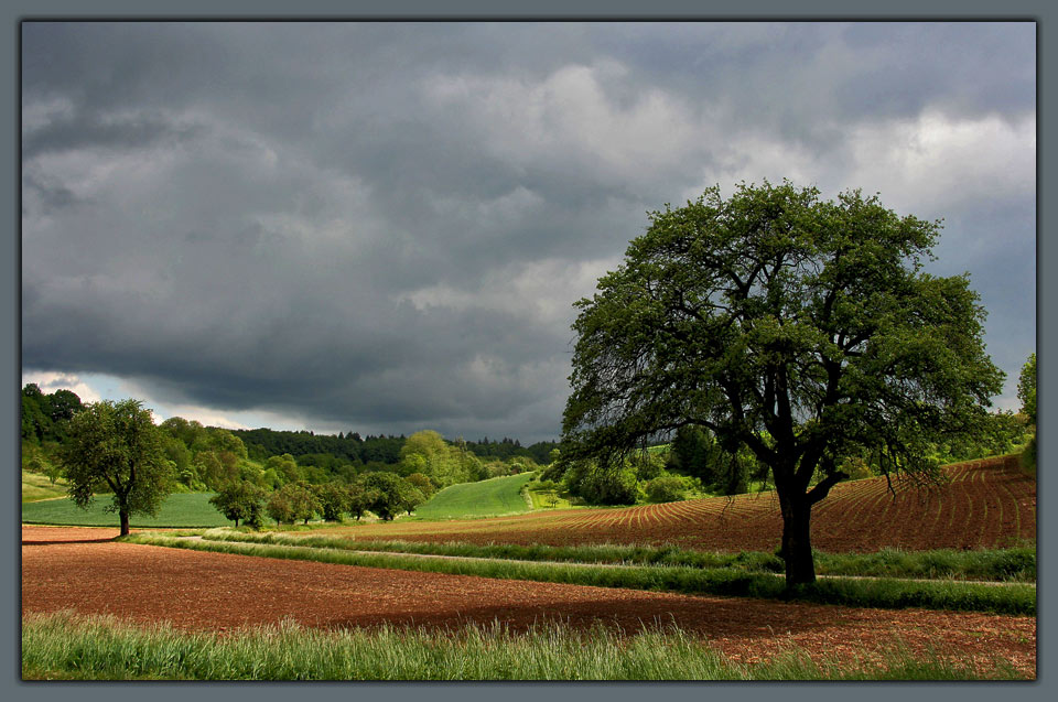 Licht & Schatten