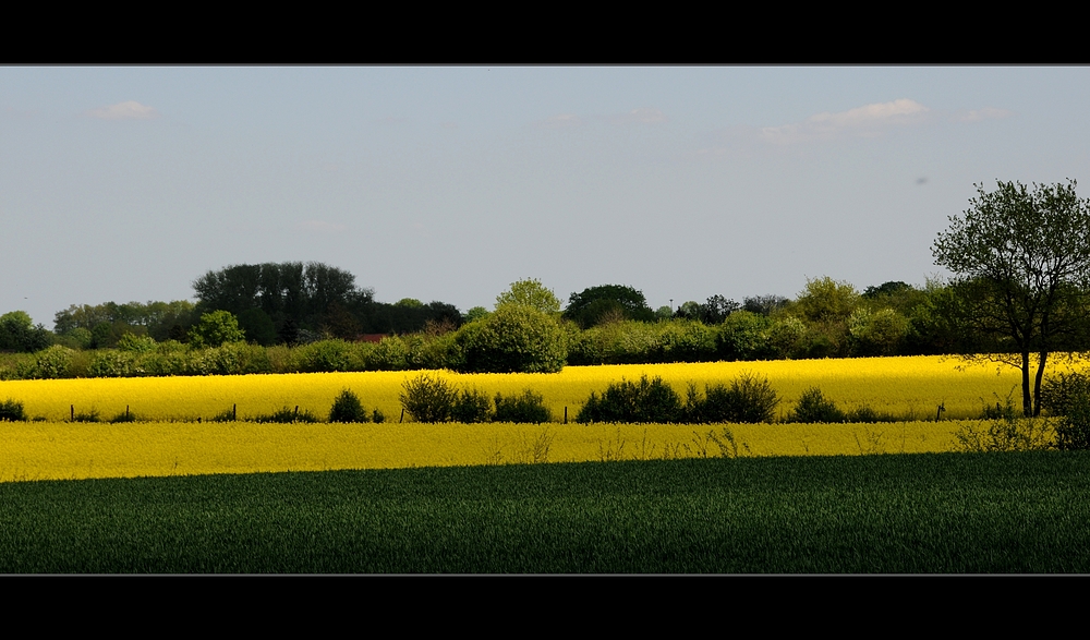 licht & schatten