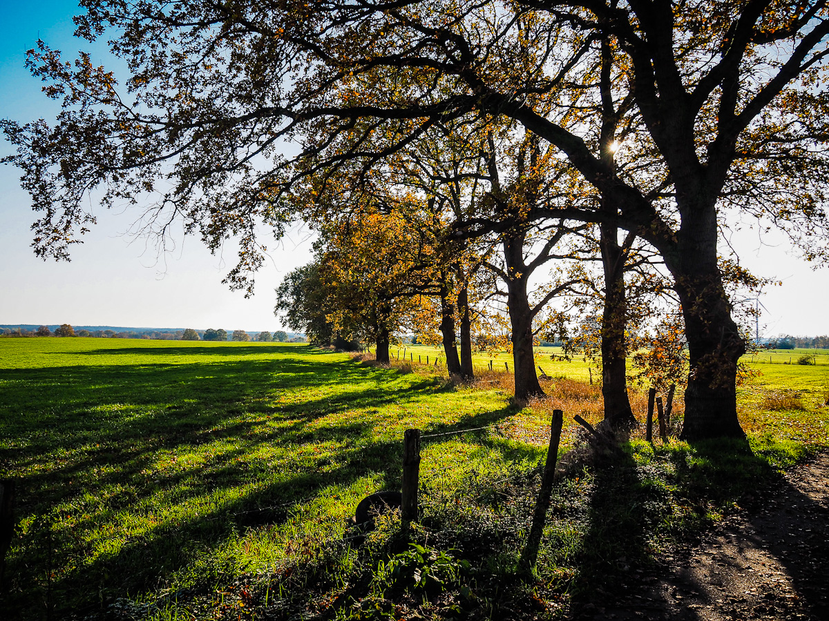 Licht & Schatten