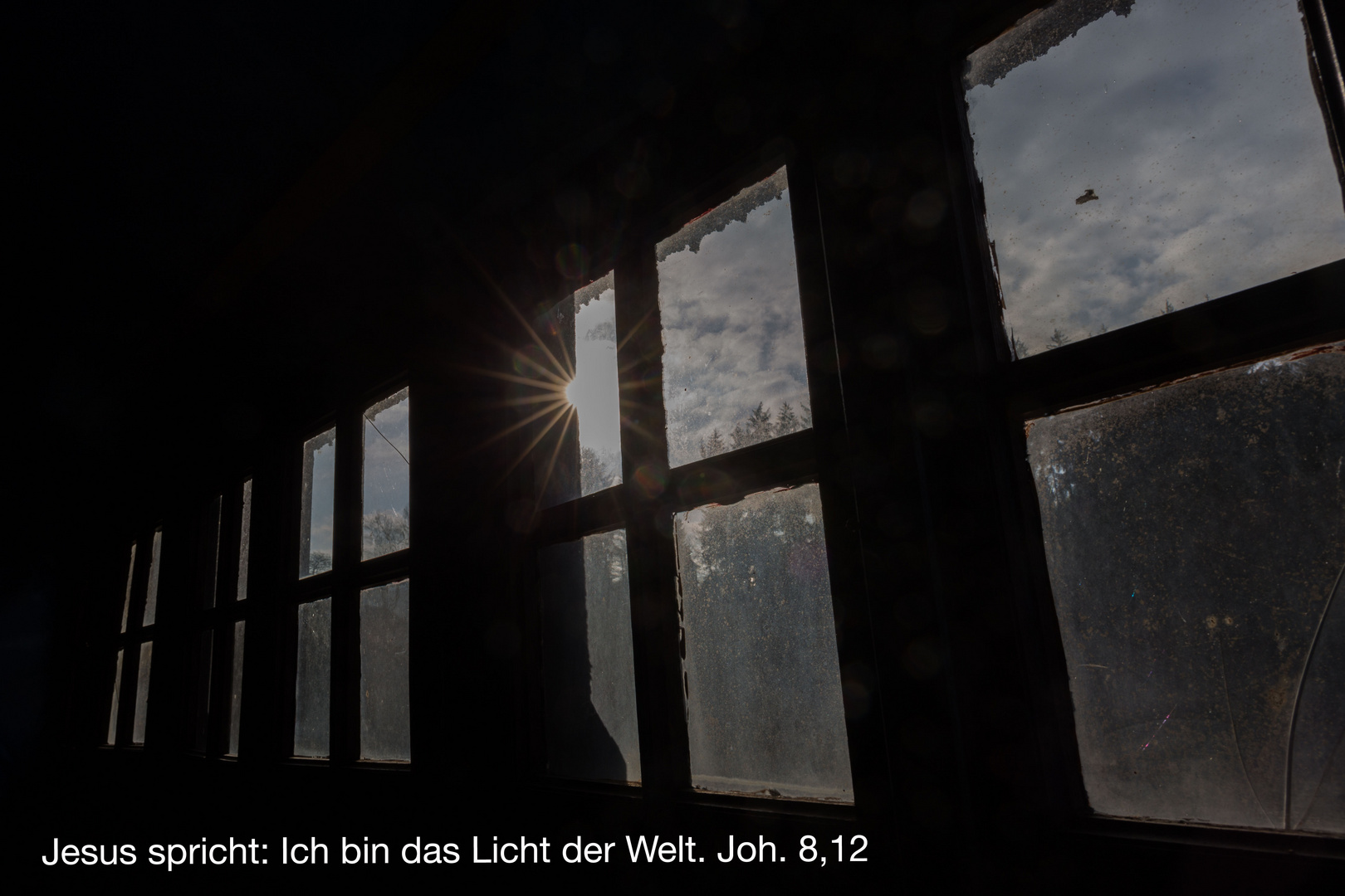 +++ Licht & Schatten +++