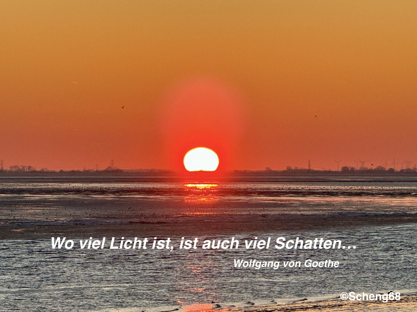 Licht& Schatten Goethe