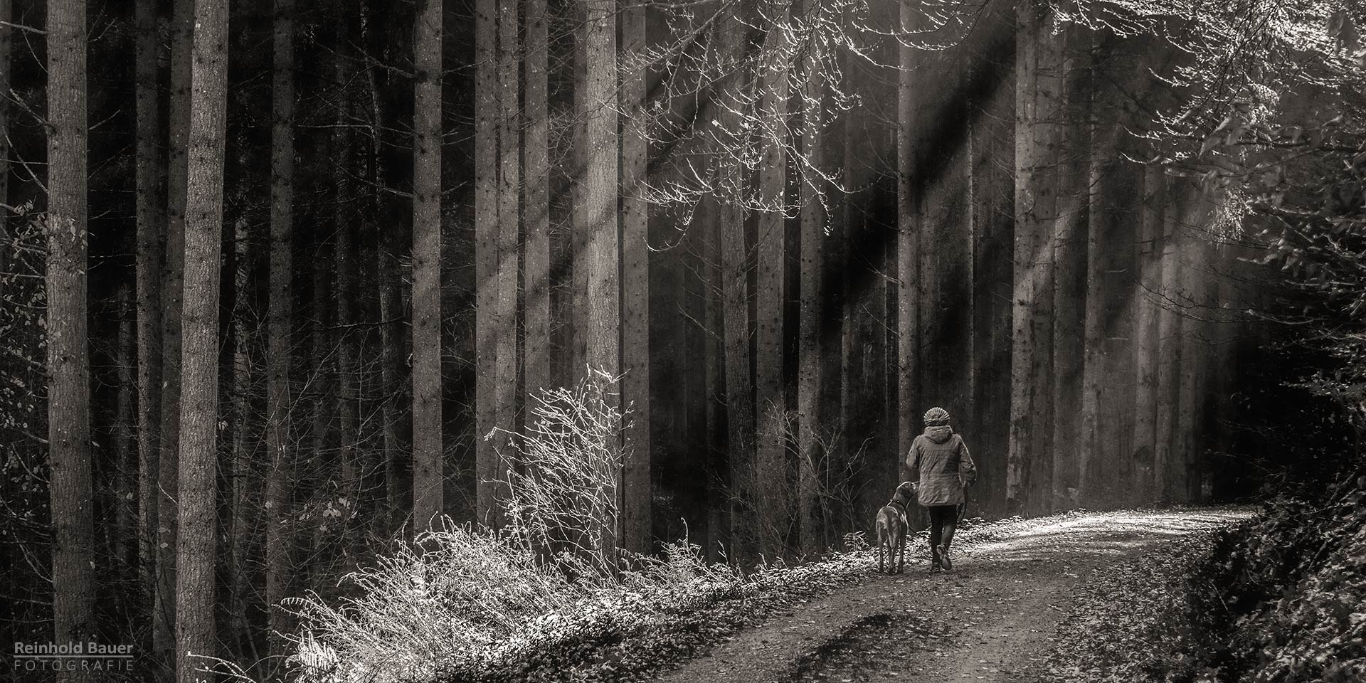 Licht-Schatten-Hell-Dunkel-Struktur