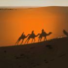 Licht & Schatten in der Sahara