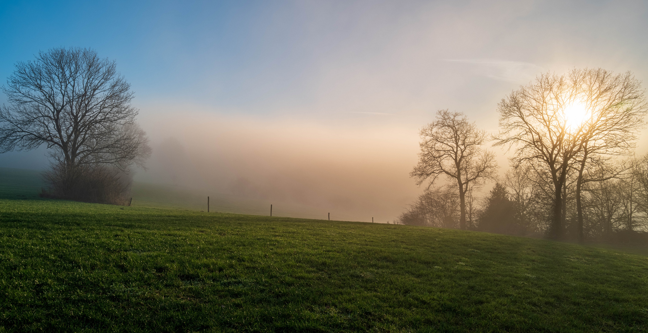 Licht & Schatten, Perspektiven im Nebel