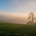 Licht & Schatten, Perspektiven im Nebel