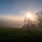 Licht & Schatten, Perspektiven im Nebel