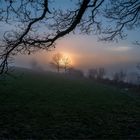 Licht & Schatten, Perspektiven im Nebel