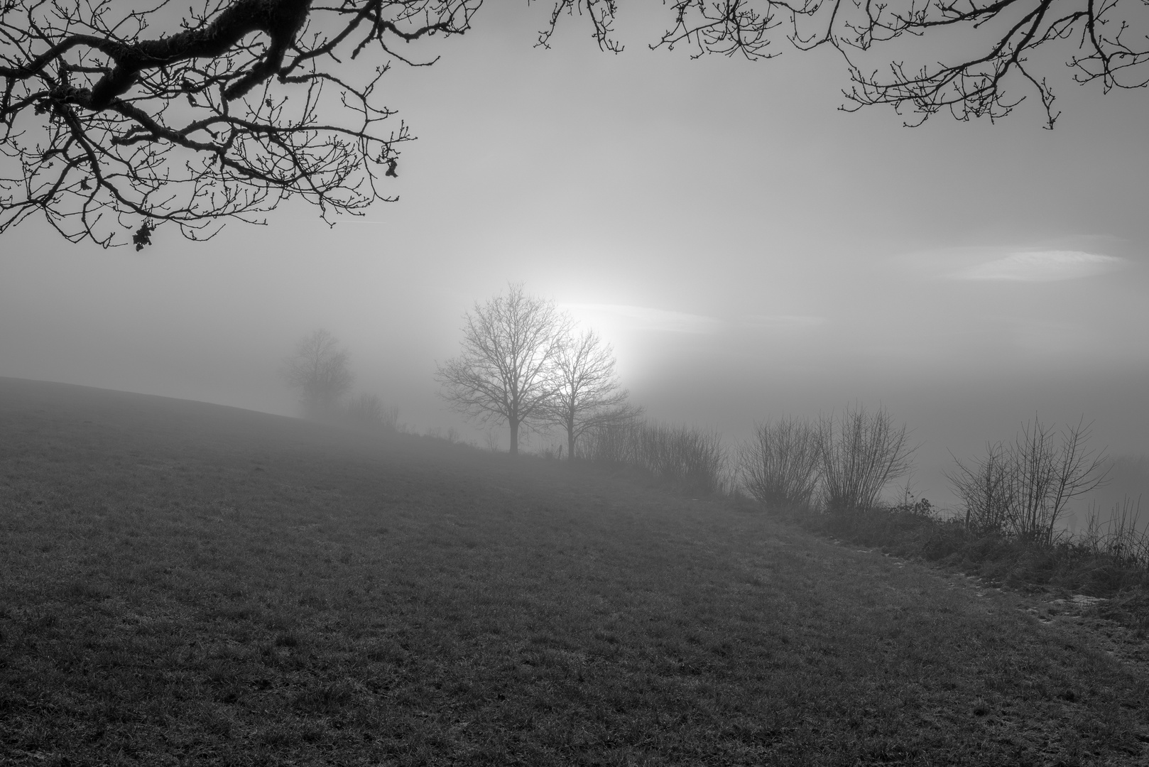 Licht & Schatten, Perspektiven im Nebel