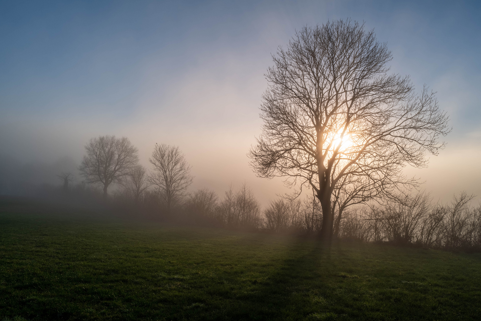 Licht & Schatten, Perspektiven im Nebel