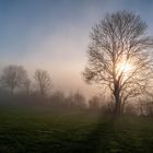 Licht & Schatten, Perspektiven im Nebel