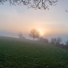 Licht & Schatten, Perspektiven im Nebel