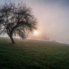 Licht & Schatten, Perspektiven im Nebel