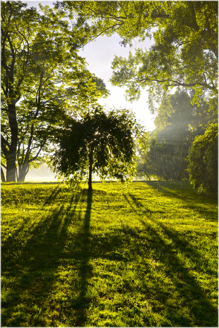 Licht - Schatten & Regen