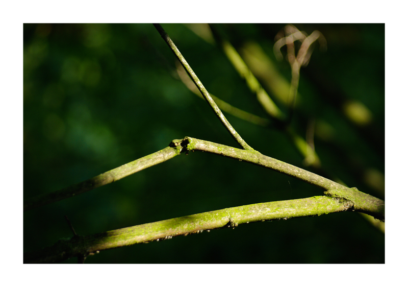 LichT, SchaTTen & SchÄrfe