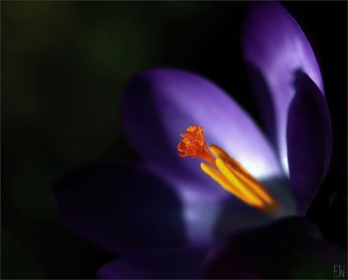 Licht-Schatten-Spiel