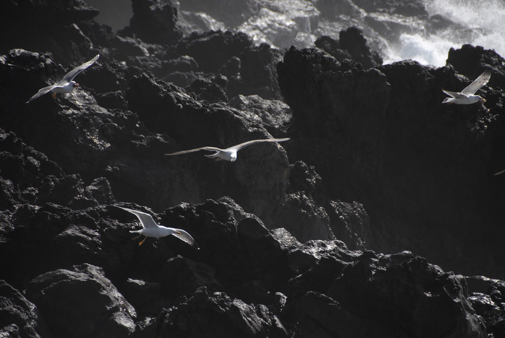 Licht, Schatten, Sturm, Brandung / Lanzarote