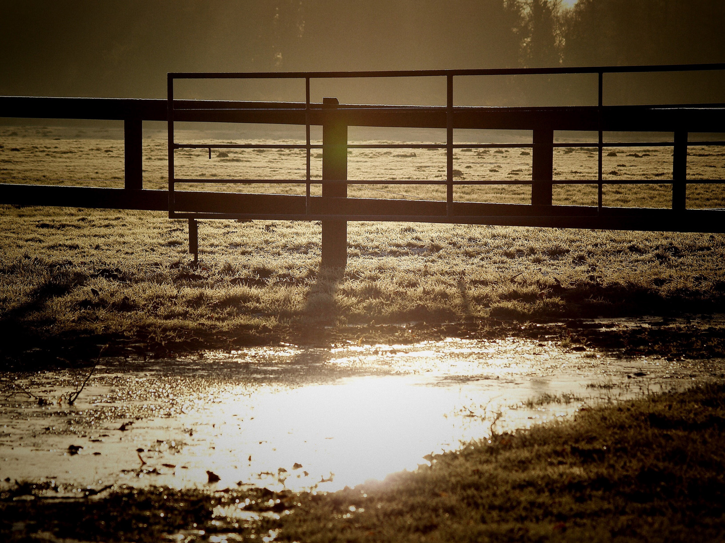 Licht , Schatten und Eis