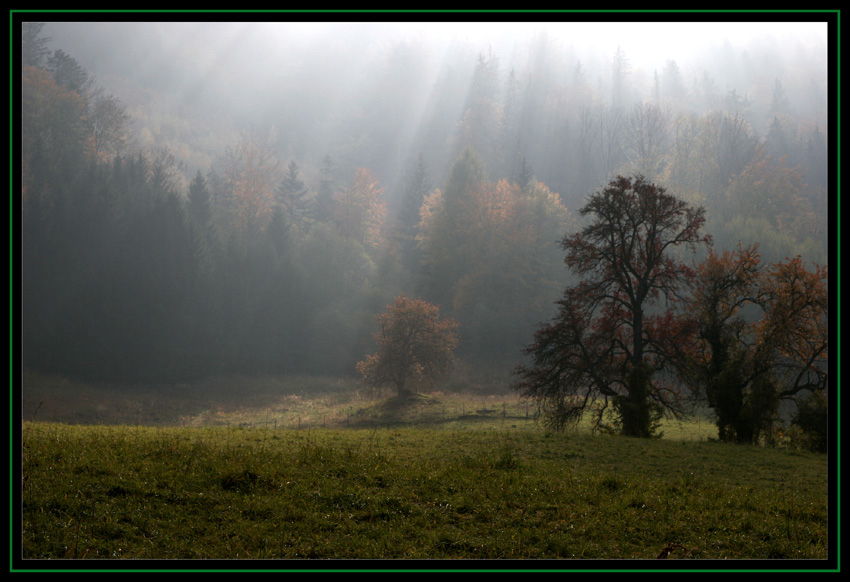 Licht ,Schatten und Nebel...............................