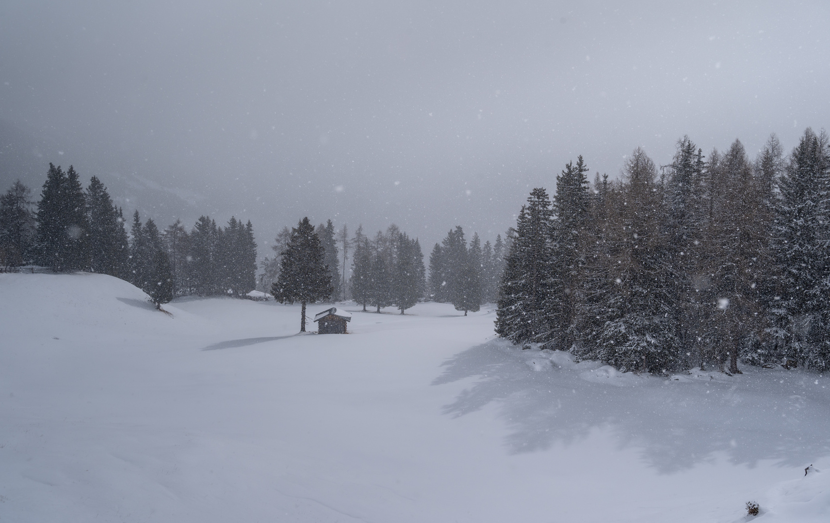 Licht, Schatten und Schnee