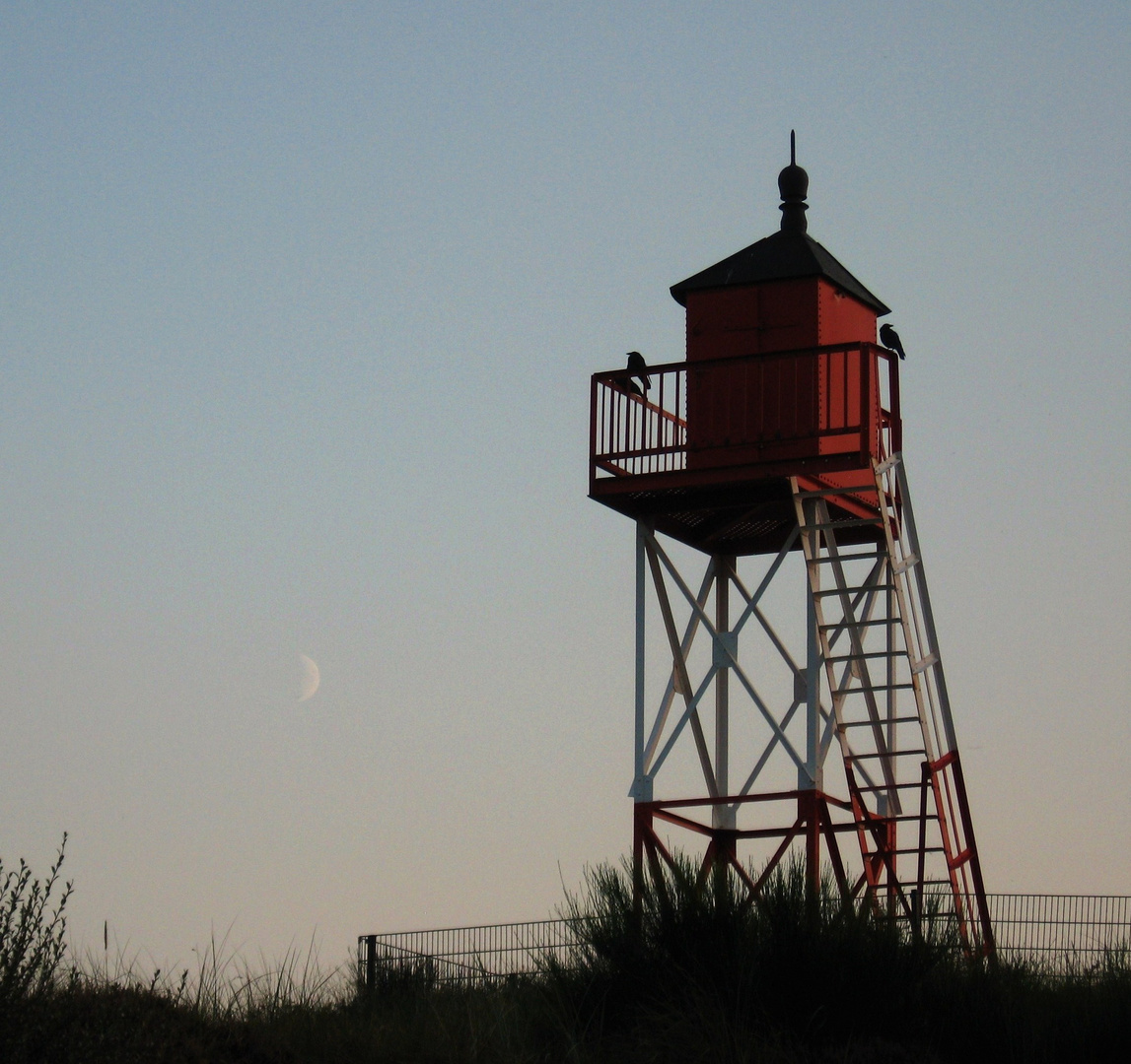 Licht, Schatten, Vögel, Mond