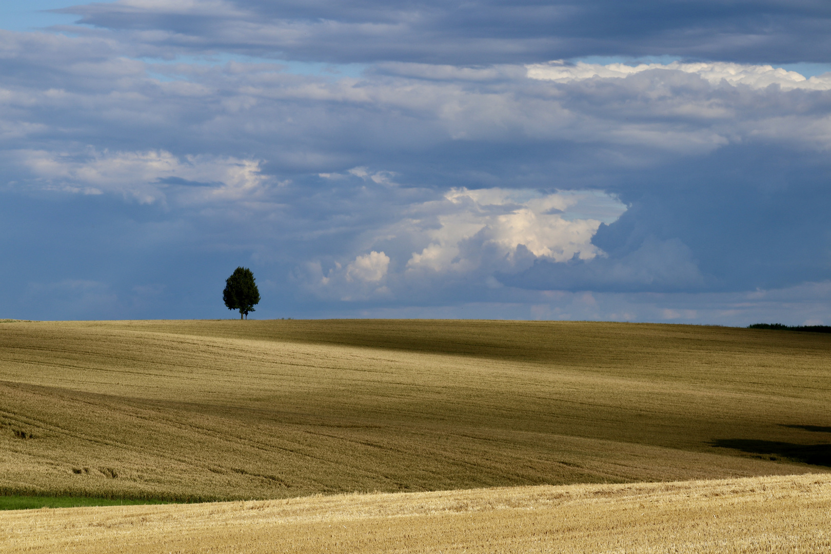 Licht, Schatten, Wolken, Baum