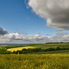 Licht-Schatten-Wolkenspiel über der Pfalz.