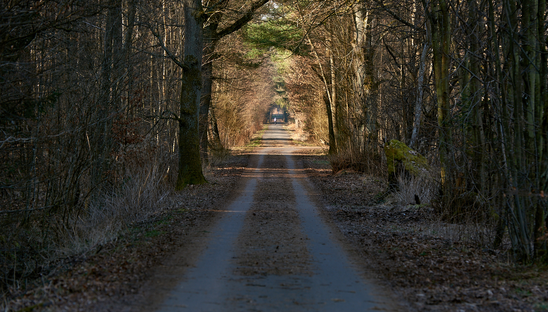 Licht-Schattengrenze.