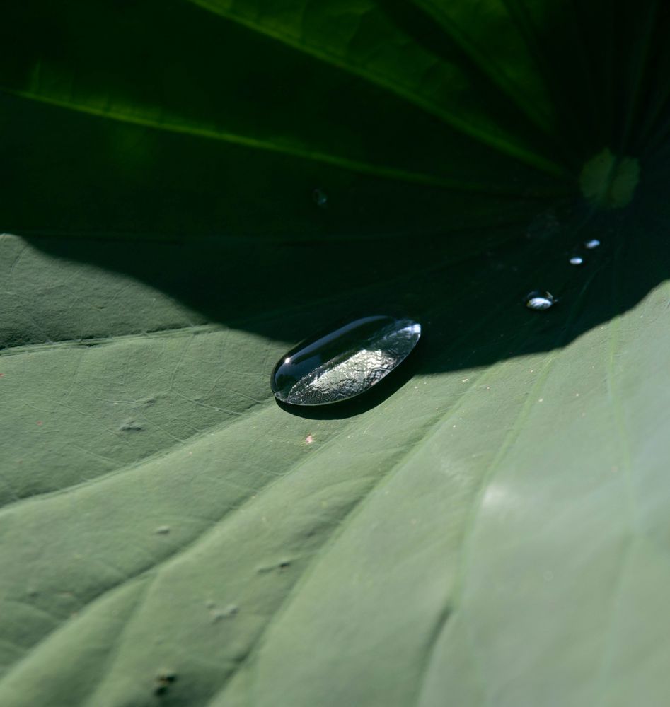 Licht-/Schattenspiegelung