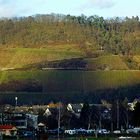 Licht & Schattenspiel auf der anderen Rheinseite II