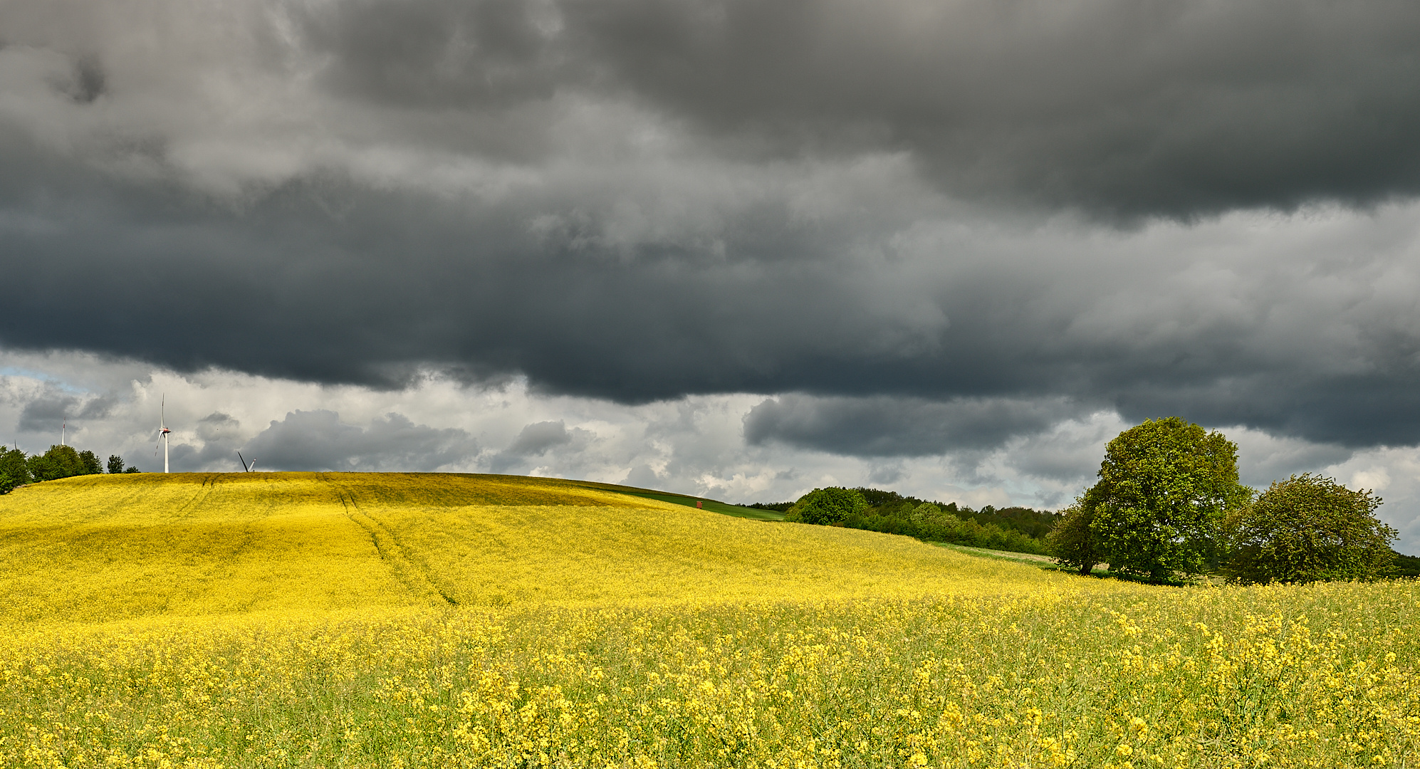 Licht-Schattenspiel in der Pfalz, Wolken sind wie das Salz in der Suppe.