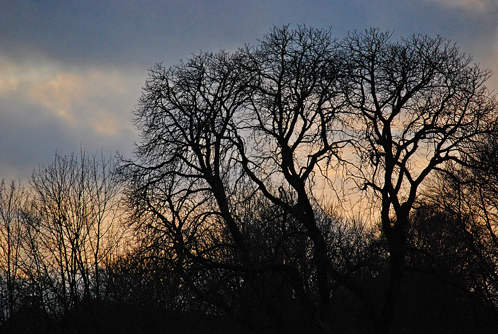 Licht scheint in der Finsternis...