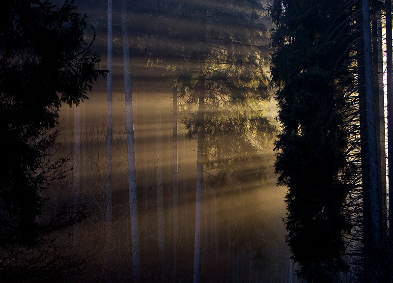 Licht-Schranke