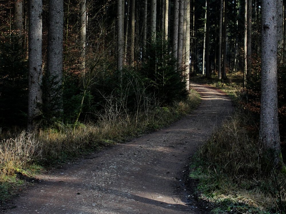 Licht . Schranke .