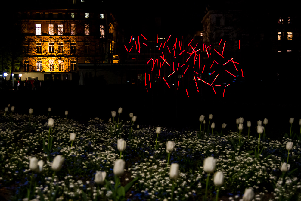 Licht-Skulptur am Tulpenbeet