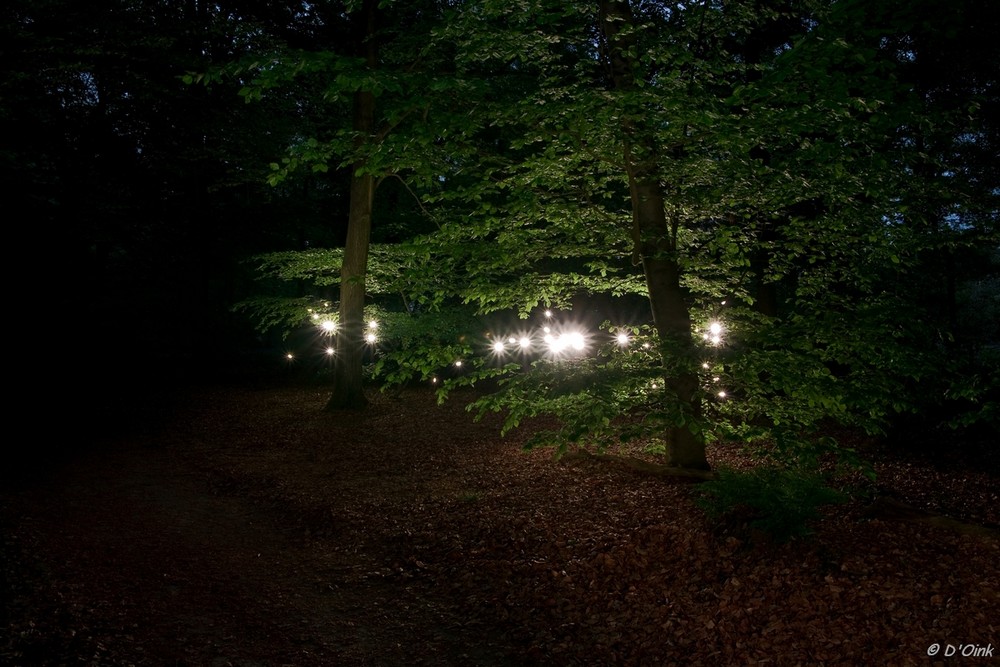 Licht Spielerrei I