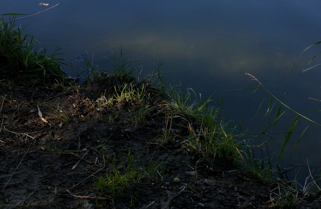 Licht streift die Gerade