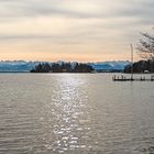 Licht-Teppich zur Roseninsel