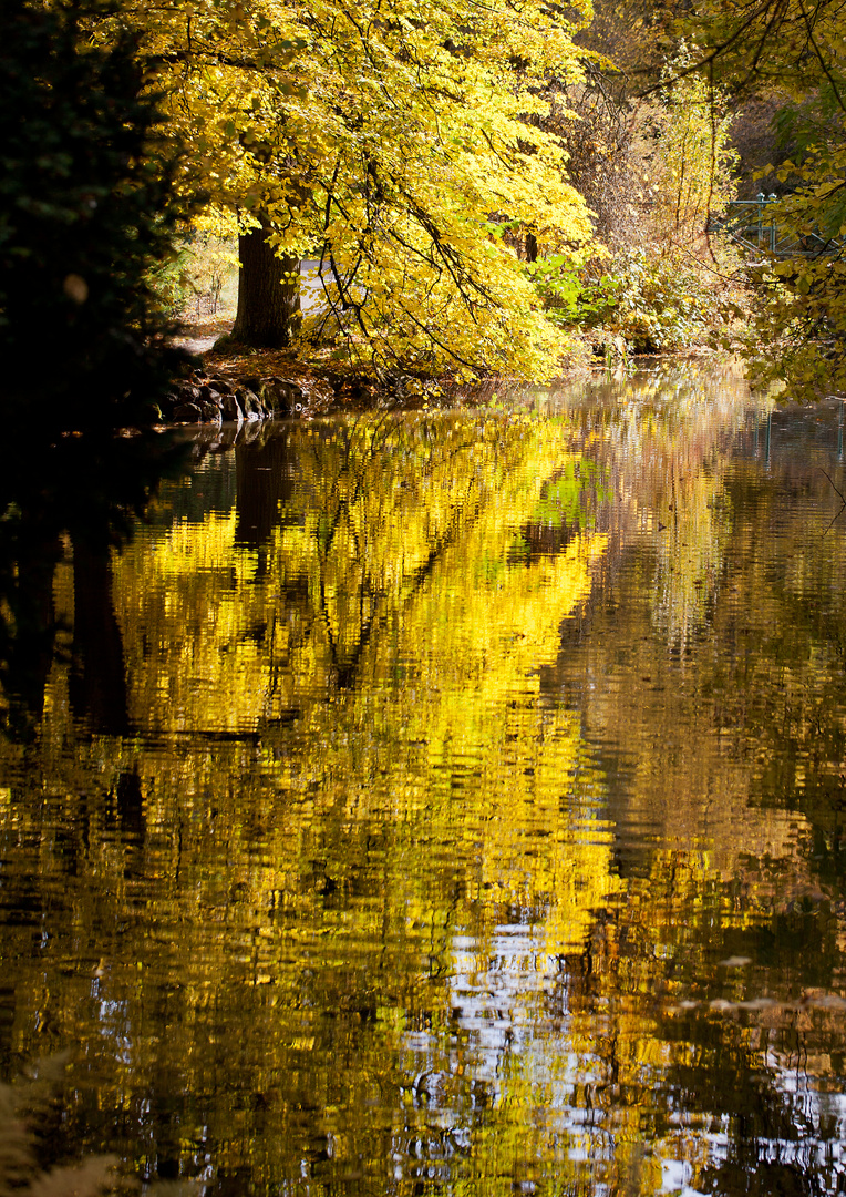 Licht trifft Wasser 1