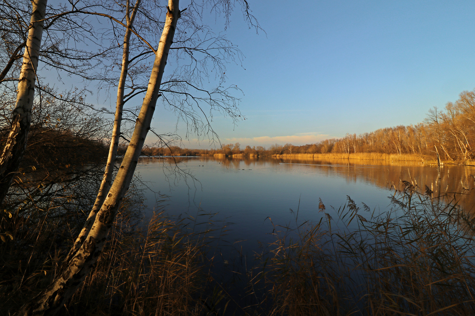 Licht überm Teich