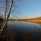 Licht überm Teich