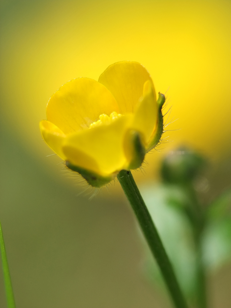 Licht und Farbe