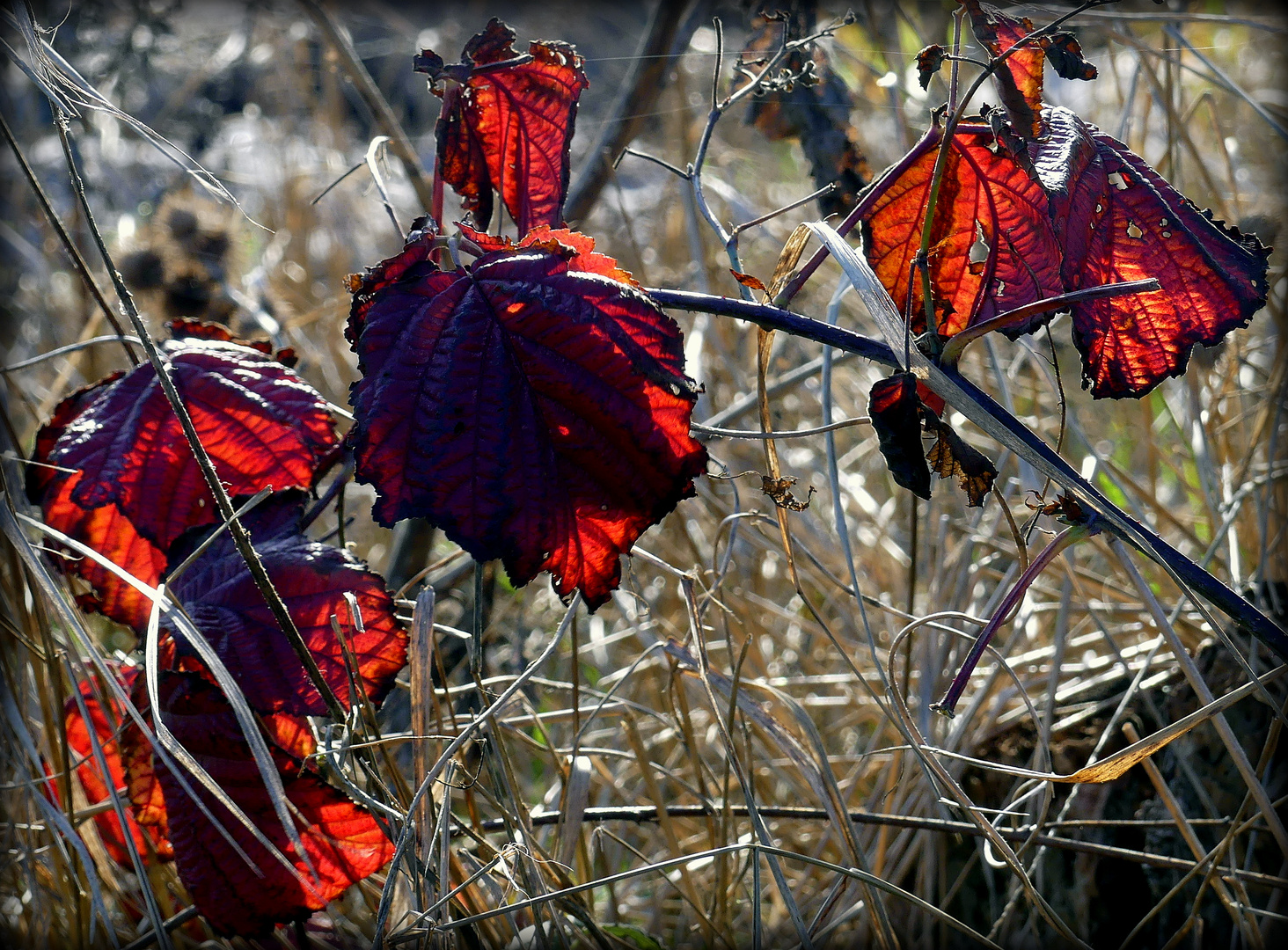 Licht und Farbe