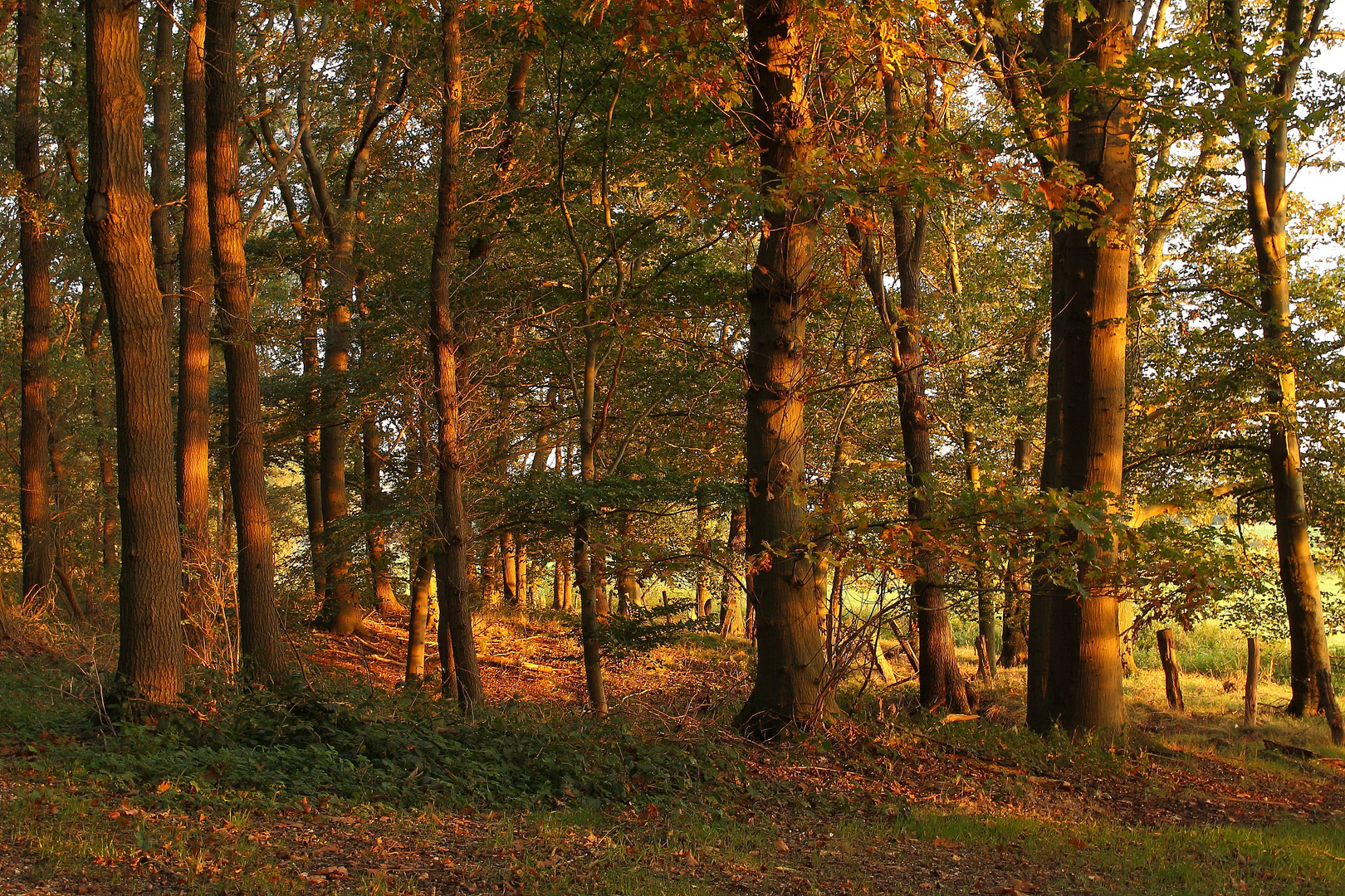 Licht und Farben der Natur