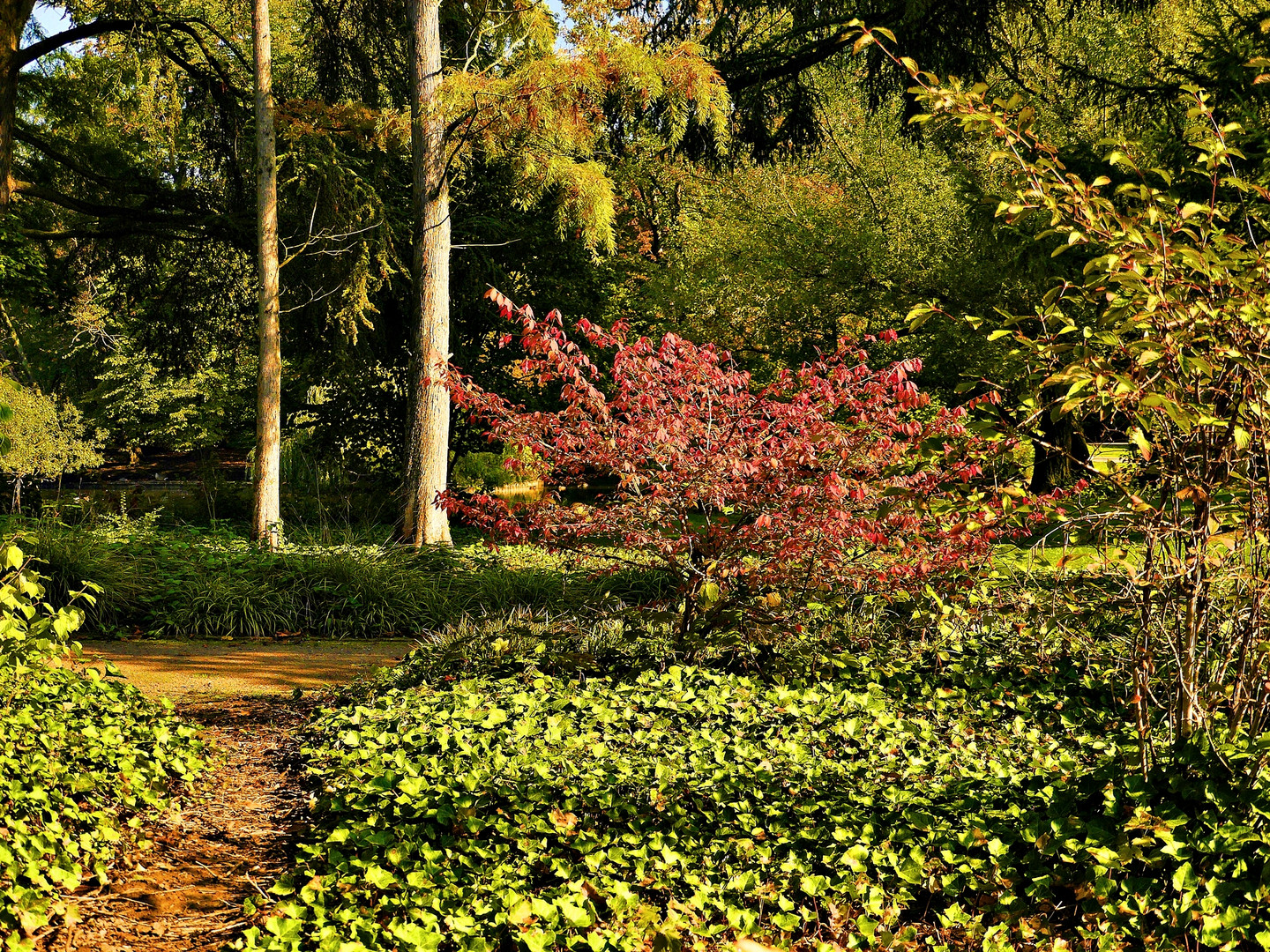 Licht und Farben im Volksgarten